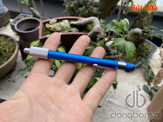 Bút dũa chuốt dụng cụ bonsai
